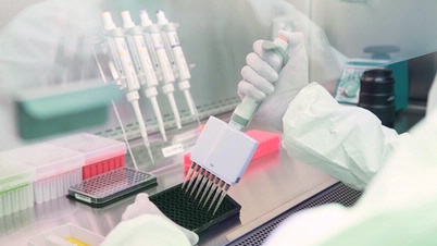 Clinical Research Testing