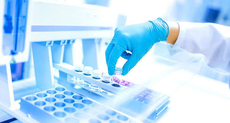 Stability Testing Synergy BioScience